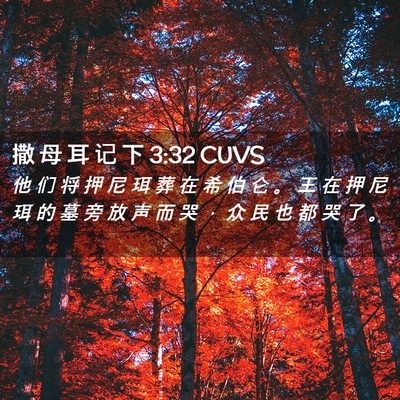 Picture 02 - 撒 母 耳 记 下 3:32 CUVS - 他 们 将 押 尼 珥 葬 在 希 伯 仑 。 - Bible Verse Picture
