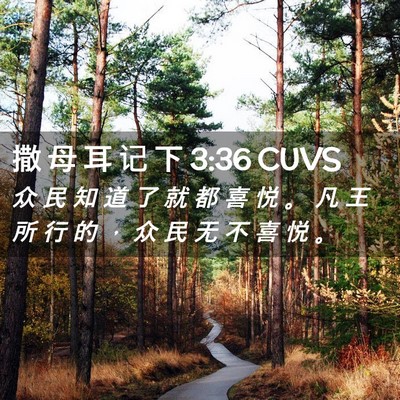 Picture 02 - 撒 母 耳 记 下 3:36 CUVS - 众 民 知 道 了 就 都 喜 悦 。 凡 王 - Bible Verse Picture