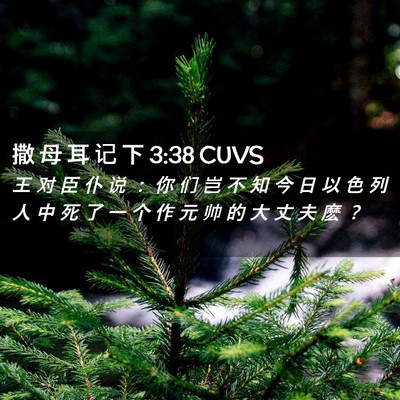 Picture 02 - 撒 母 耳 记 下 3:38 CUVS - 王 对 臣 仆 说 ： 你 们 岂 不 知 今 - Bible Verse Picture