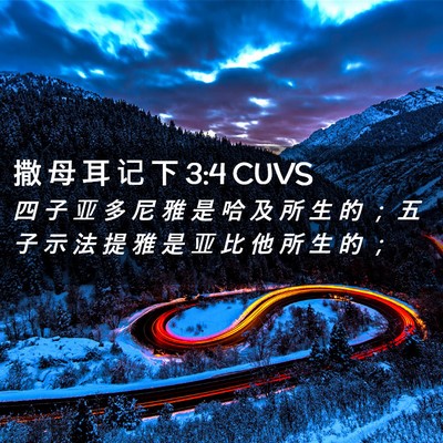 Picture 02 - 撒 母 耳 记 下 3:4 CUVS - 四 子 亚 多 尼 雅 是 哈 及 所 生 的 - Bible Verse Picture
