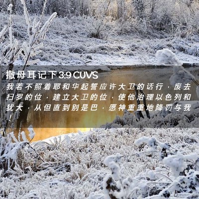Picture 02 - 撒 母 耳 记 下 3:9 CUVS - 我 若 不 照 着 耶 和 华 起 誓 应 许 - Bible Verse Picture
