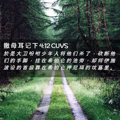 Picture 02 - 撒 母 耳 记 下 4:12 CUVS - 於 是 大 卫 吩 咐 少 年 人 将 他 们 - Bible Verse Picture