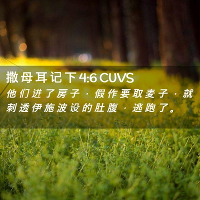 Picture 02 - 撒 母 耳 记 下 4:6 CUVS - 他 们 进 了 房 子 ， 假 作 要 取 麦 - Bible Verse Picture