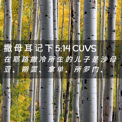 Picture 02 - 撒 母 耳 记 下 5:14 CUVS - 在 耶 路 撒 冷 所 生 的 儿 子 是 沙 - Bible Verse Picture