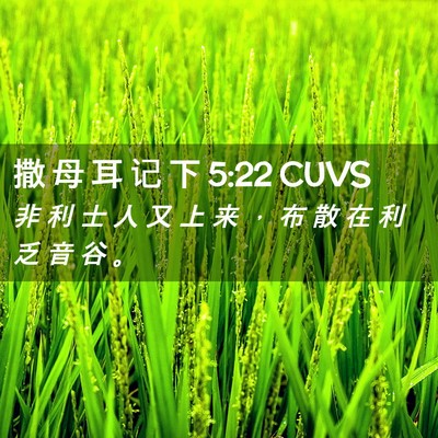Picture 02 - 撒 母 耳 记 下 5:22 CUVS - 非 利 士 人 又 上 来 ， 布 散 在 利 - Bible Verse Picture