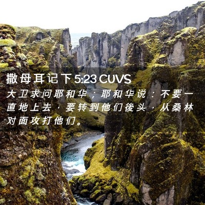 Picture 02 - 撒 母 耳 记 下 5:23 CUVS - 大 卫 求 问 耶 和 华 ； 耶 和 华 说 - Bible Verse Picture