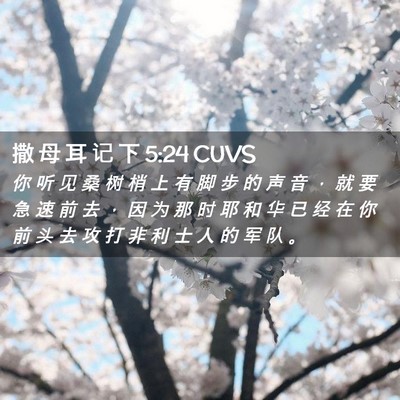 Picture 02 - 撒 母 耳 记 下 5:24 CUVS - 你 听 见 桑 树 梢 上 有 脚 步 的 声 - Bible Verse Picture