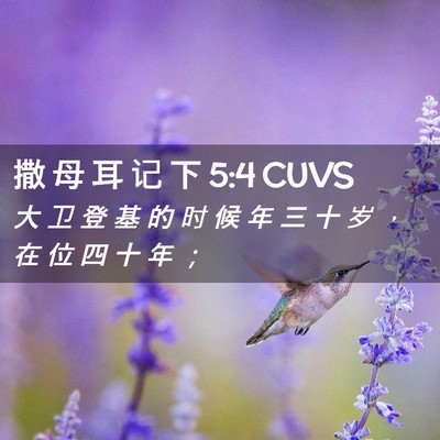 Picture 02 - 撒 母 耳 记 下 5:4 CUVS - 大 卫 登 基 的 时 候 年 三 十 岁 ， - Bible Verse Picture