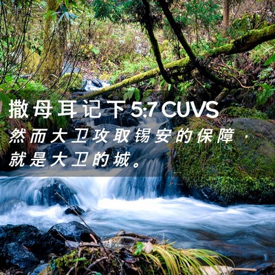 Picture 02 - 撒 母 耳 记 下 5:7 CUVS - 然 而 大 卫 攻 取 锡 安 的 保 障 ， - Bible Verse Picture