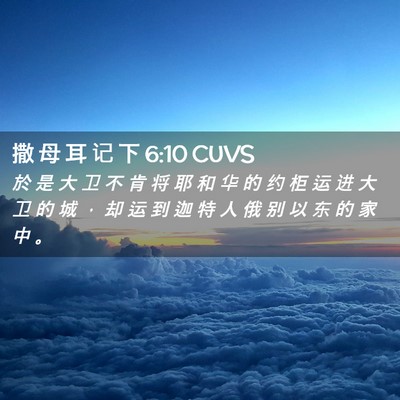 Picture 02 - 撒 母 耳 记 下 6:10 CUVS - 於 是 大 卫 不 肯 将 耶 和 华 的 约 - Bible Verse Picture