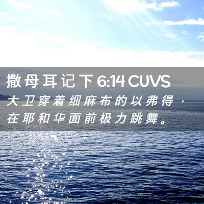 Picture 02 - 撒 母 耳 记 下 6:14 CUVS - 大 卫 穿 着 细 麻 布 的 以 弗 得 ， - Bible Verse Picture