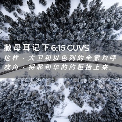 Picture 02 - 撒 母 耳 记 下 6:15 CUVS - 这 样 ， 大 卫 和 以 色 列 的 全 家 - Bible Verse Picture