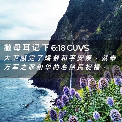 Picture 02 - 撒 母 耳 记 下 6:18 CUVS - 大 卫 献 完 了 燔 祭 和 平 安 祭 ， - Bible Verse Picture