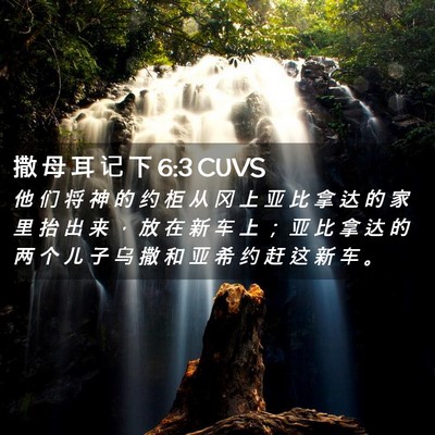 Picture 02 - 撒 母 耳 记 下 6:3 CUVS - 他 们 将 神 的 约 柜 从 冈 上 亚 比 - Bible Verse Picture
