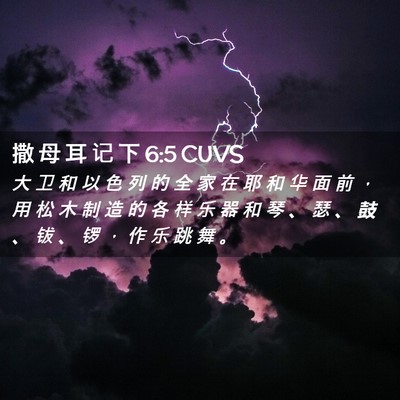 Picture 02 - 撒 母 耳 记 下 6:5 CUVS - 大 卫 和 以 色 列 的 全 家 在 耶 和 - Bible Verse Picture
