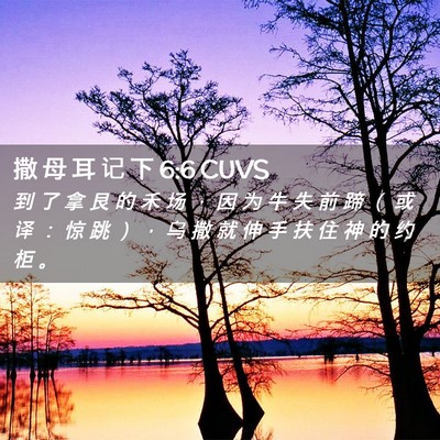 Picture 02 - 撒 母 耳 记 下 6:6 CUVS - 到 了 拿 艮 的 禾 场 ， 因 为 牛 失 - Bible Verse Picture