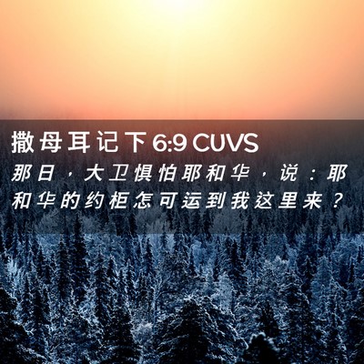 Picture 02 - 撒 母 耳 记 下 6:9 CUVS - 那 日 ， 大 卫 惧 怕 耶 和 华 ， 说 - Bible Verse Picture