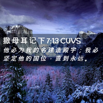 Picture 02 - 撒 母 耳 记 下 7:13 CUVS - 他 必 为 我 的 名 建 造 殿 宇 ； 我 - Bible Verse Picture