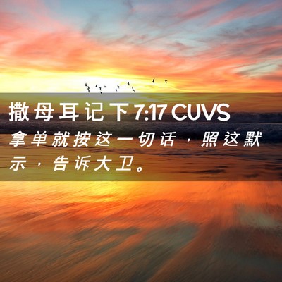 Picture 02 - 撒 母 耳 记 下 7:17 CUVS - 拿 单 就 按 这 一 切 话 ， 照 这 默 - Bible Verse Picture