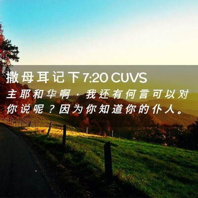 Picture 02 - 撒 母 耳 记 下 7:20 CUVS - 主 耶 和 华 啊 ， 我 还 有 何 言 可 - Bible Verse Picture
