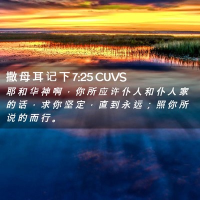 Picture 02 - 撒 母 耳 记 下 7:25 CUVS - 耶 和 华 神 啊 ， 你 所 应 许 仆 人 - Bible Verse Picture