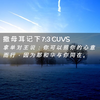 Picture 02 - 撒 母 耳 记 下 7:3 CUVS - 拿 单 对 王 说 ： 你 可 以 照 你 的 - Bible Verse Picture