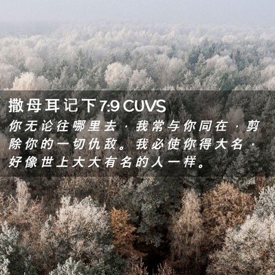Picture 02 - 撒 母 耳 记 下 7:9 CUVS - 你 无 论 往 哪 里 去 ， 我 常 与 你 - Bible Verse Picture