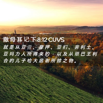 Picture 02 - 撒 母 耳 记 下 8:12 CUVS - 就 是 从 亚 兰 、 摩 押 、 亚 扪 、 - Bible Verse Picture