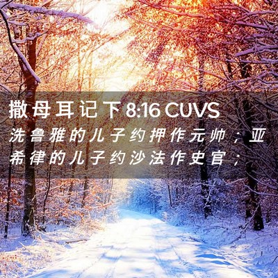 Picture 02 - 撒 母 耳 记 下 8:16 CUVS - 洗 鲁 雅 的 儿 子 约 押 作 元 帅 ； - Bible Verse Picture