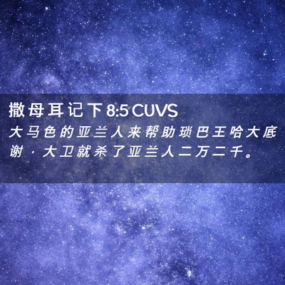 Picture 02 - 撒 母 耳 记 下 8:5 CUVS - 大 马 色 的 亚 兰 人 来 帮 助 琐 巴 - Bible Verse Picture