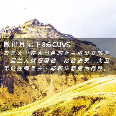 Picture 02 - 撒 母 耳 记 下 8:6 CUVS - 於 是 大 卫 在 大 马 色 的 亚 兰 地 - Bible Verse Picture
