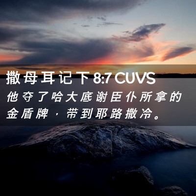Picture 02 - 撒 母 耳 记 下 8:7 CUVS - 他 夺 了 哈 大 底 谢 臣 仆 所 拿 的 - Bible Verse Picture