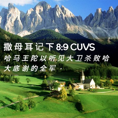 Picture 02 - 撒 母 耳 记 下 8:9 CUVS - 哈 马 王 陀 以 听 见 大 卫 杀 败 哈 - Bible Verse Picture