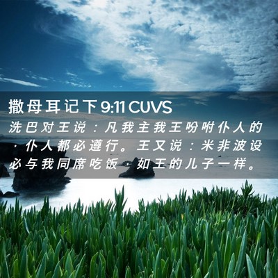 Picture 02 - 撒 母 耳 记 下 9:11 CUVS - 洗 巴 对 王 说 ： 凡 我 主 我 王 吩 - Bible Verse Picture