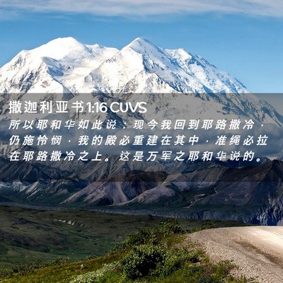 Picture 02 - 撒 迦 利 亚 书 1:16 CUVS - 所 以 耶 和 华 如 此 说 ： 现 今 我 - Bible Verse Picture