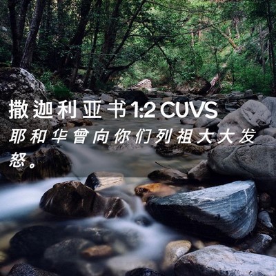 Picture 02 - 撒 迦 利 亚 书 1:2 CUVS - 耶 和 华 曾 向 你 们 列 祖 大 大 发 - Bible Verse Picture