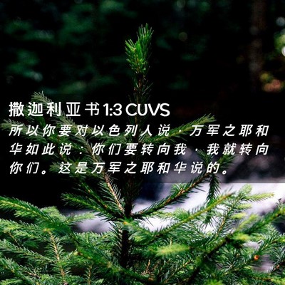 Picture 02 - 撒 迦 利 亚 书 1:3 CUVS - 所 以 你 要 对 以 色 列 人 说 ， 万 - Bible Verse Picture