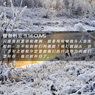 Picture 02 - 撒 迦 利 亚 书 1:6 CUVS - 只 是 我 的 言 语 和 律 例 ， 就 是 - Bible Verse Picture