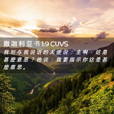 Picture 02 - 撒 迦 利 亚 书 1:9 CUVS - 我 对 与 我 说 话 的 天 使 说 ： 主 - Bible Verse Picture