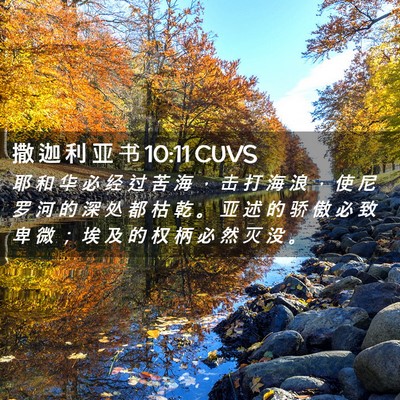 Picture 02 - 撒 迦 利 亚 书 10:11 CUVS - 耶 和 华 必 经 过 苦 海 ， 击 打 海 - Bible Verse Picture