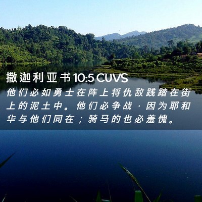 Picture 02 - 撒 迦 利 亚 书 10:5 CUVS - 他 们 必 如 勇 士 在 阵 上 将 仇 敌 - Bible Verse Picture