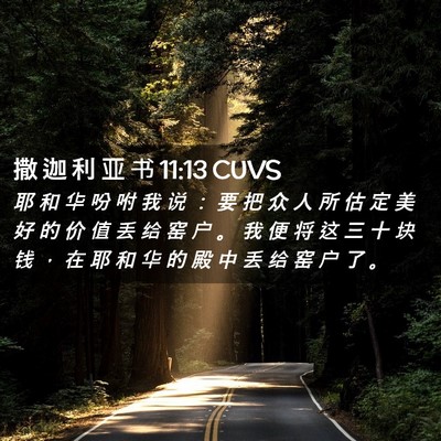 Picture 02 - 撒 迦 利 亚 书 11:13 CUVS - 耶 和 华 吩 咐 我 说 ： 要 把 众 人 - Bible Verse Picture