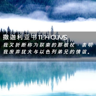 Picture 02 - 撒 迦 利 亚 书 11:14 CUVS - 我 又 折 断 称 为 联 索 的 那 根 杖 - Bible Verse Picture