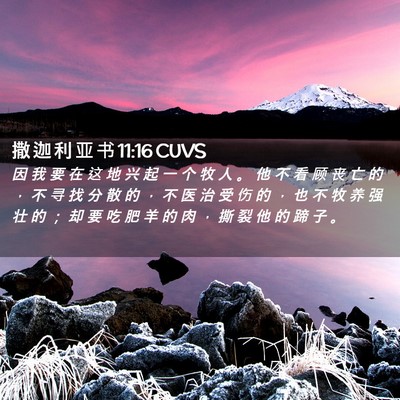 Picture 02 - 撒 迦 利 亚 书 11:16 CUVS - 因 我 要 在 这 地 兴 起 一 个 牧 人 - Bible Verse Picture