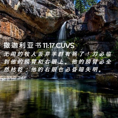 Picture 02 - 撒 迦 利 亚 书 11:17 CUVS - 无 用 的 牧 人 丢 弃 羊 群 有 祸 了 - Bible Verse Picture
