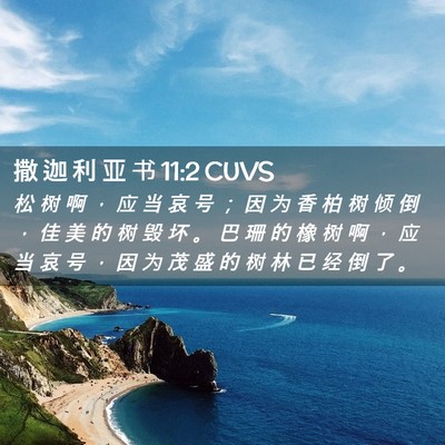 Picture 02 - 撒 迦 利 亚 书 11:2 CUVS - 松 树 啊 ， 应 当 哀 号 ； 因 为 香 - Bible Verse Picture