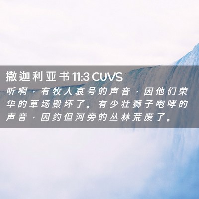 Picture 02 - 撒 迦 利 亚 书 11:3 CUVS - 听 啊 ， 有 牧 人 哀 号 的 声 音 ， - Bible Verse Picture