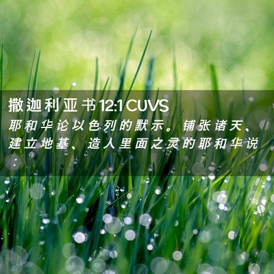Picture 02 - 撒 迦 利 亚 书 12:1 CUVS - 耶 和 华 论 以 色 列 的 默 示 。 铺 - Bible Verse Picture