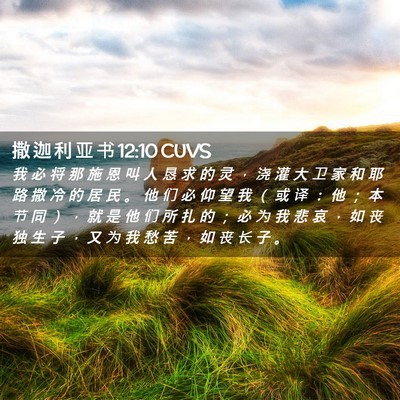 Picture 02 - 撒 迦 利 亚 书 12:10 CUVS - 我 必 将 那 施 恩 叫 人 恳 求 的 灵 - Bible Verse Picture