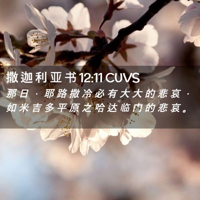 Picture 02 - 撒 迦 利 亚 书 12:11 CUVS - 那 日 ， 耶 路 撒 冷 必 有 大 大 的 - Bible Verse Picture